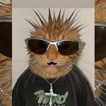 _leonizo profile picture