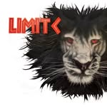 _limitlessperformance profile picture