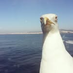 _lowlowlife_ profile picture