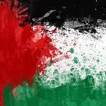 _malikarif profile picture