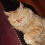_mariya___.__ profile picture