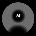 _massi_dz_massi_ profile picture
