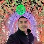 _mikemo_ profile picture