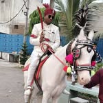 _mohammed_ahmed_raza profile picture