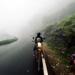 _mohmdsahid profile picture