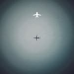 _navii__808 profile picture