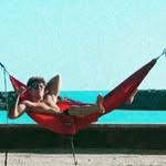 _nickstevens_0 profile picture