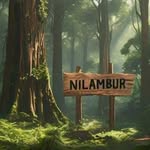 _nilambur_stories profile picture