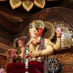 _prisha_2930 profile picture