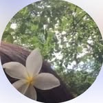 _priyanshi_.021 profile picture