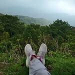_pujamaji profile picture