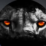 _royal.hunter7890 profile picture