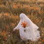 _salafi_fatimah_jan_313 profile picture