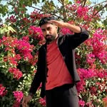 _sarakashtic profile picture