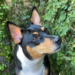 _sashajane_ profile picture
