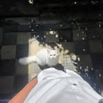 _scoobxx_ profile picture