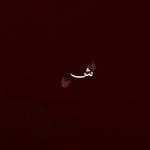 _shamyash profile picture