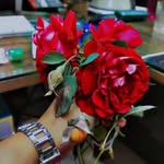 _shinning_nishuu_30 profile picture