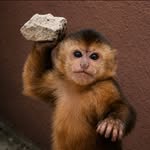 _siddharth_2107_ profile picture