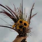 _sirf_ashu_ profile picture