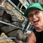 _smashley_cook profile picture