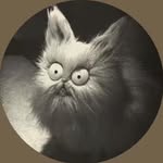 _space_c0wb0y_ profile picture