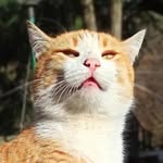 _spi_llo99_ profile picture