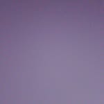 _tausif__pvt_ profile picture