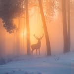 _this_world._ profile picture