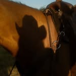 _vaws profile picture
