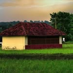 _vazhalikkavu_ profile picture