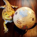 _wyatts_world_ profile picture