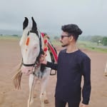 _yash_nikose profile picture