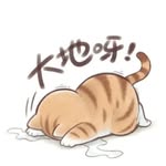 _ym_lol profile picture