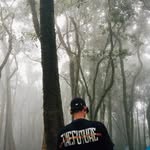 _zakariya31 profile picture