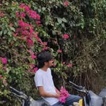 a._.pvtt12 profile picture