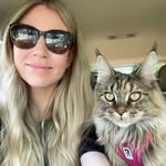 a.cat.named.fig profile picture