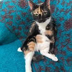 a.eveline.s profile picture