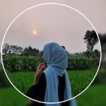 a.f.falak profile picture