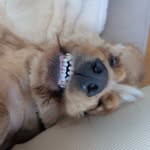 a.fadou profile picture