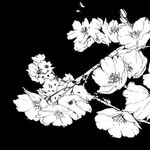 a.poet._ profile picture