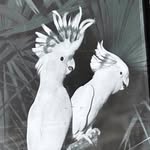 a.rt.adj profile picture