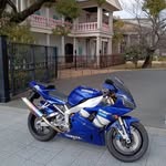a.showrov6728 profile picture
