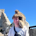 a1danellison profile picture