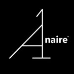 a1naire profile picture
