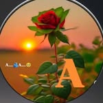a_b_h_i_n_a_s_h____001 profile picture