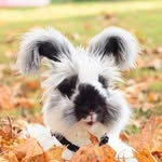 a_bunny_named_barnaby profile picture