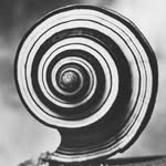 a_navel_gazer profile picture