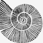 a_psy_egg_ profile picture