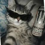 a_r_chon profile picture